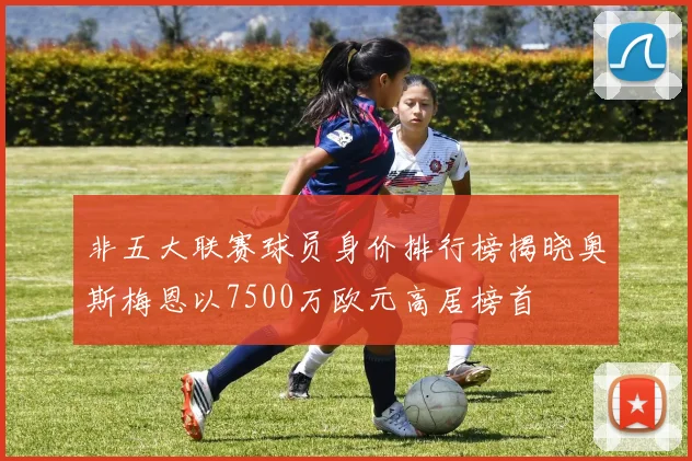 非五大联赛球员身价排行榜揭晓奥斯梅恩以7500万欧元高居榜首